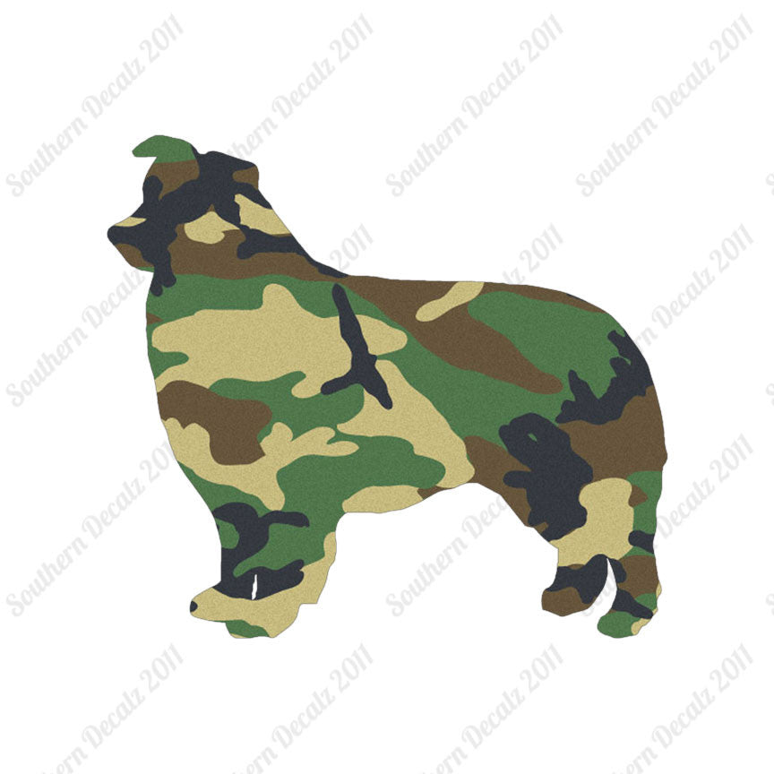 Border Collie Dog Breed