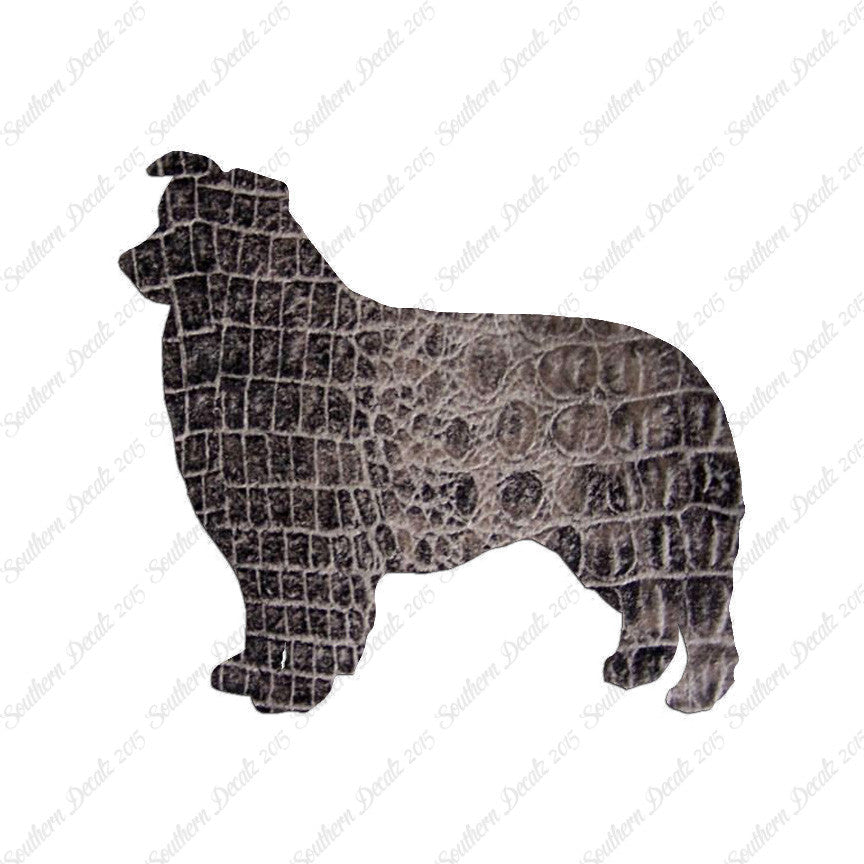 Border Collie Dog Breed