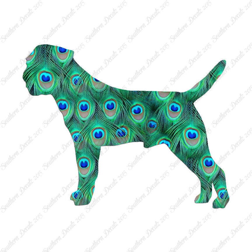Border Terrier Dog Breed