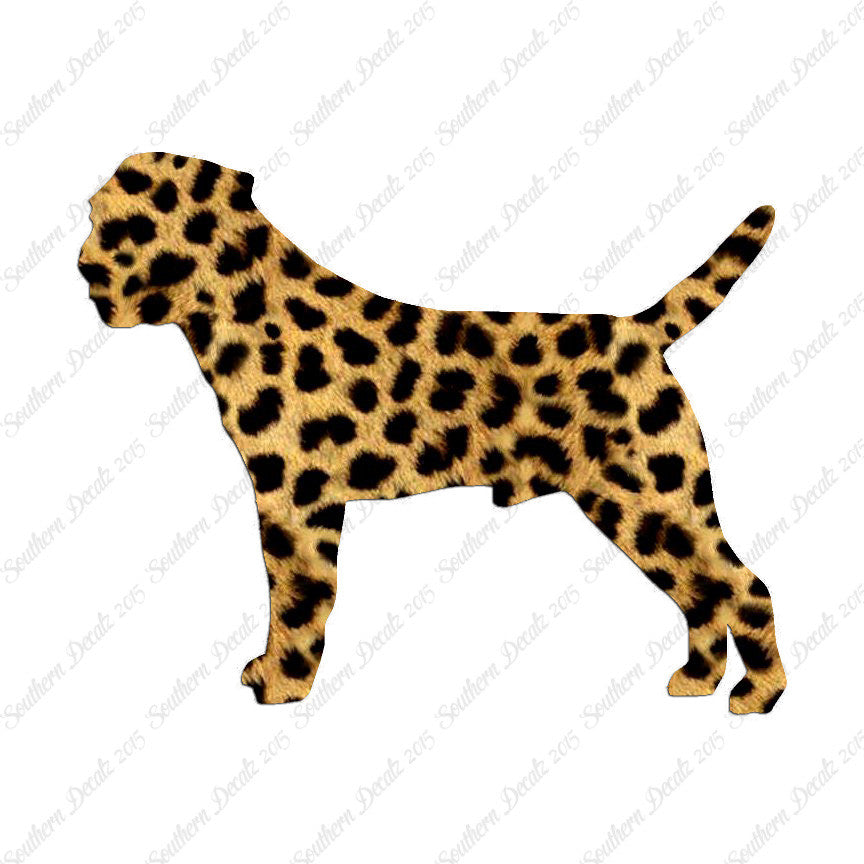 Border Terrier Dog Breed