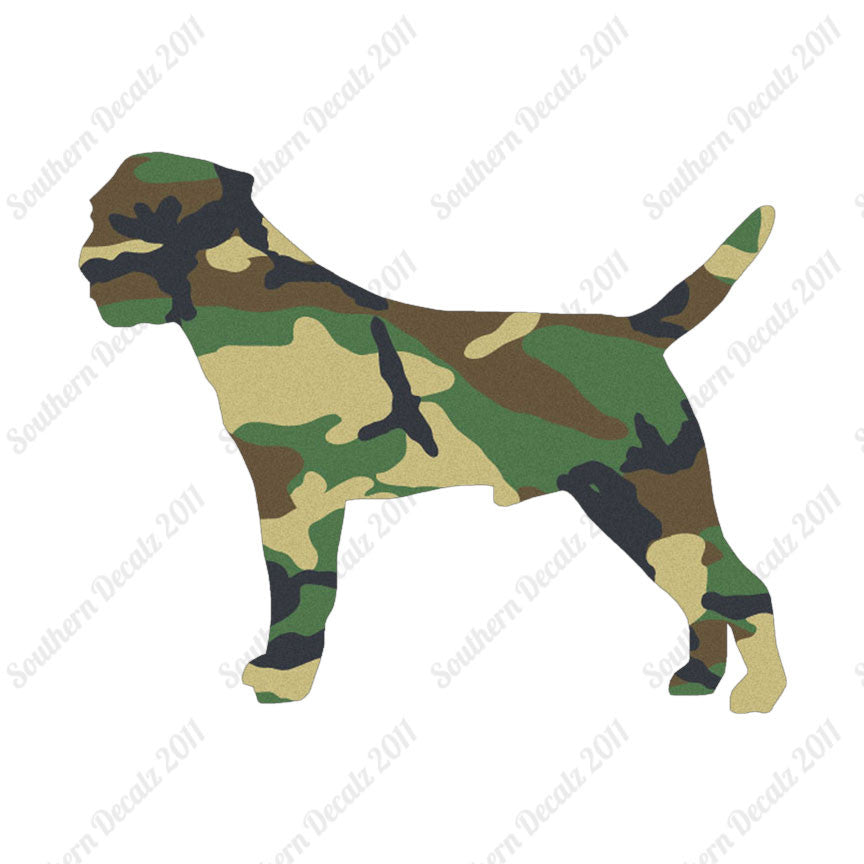 Border Terrier Dog Breed