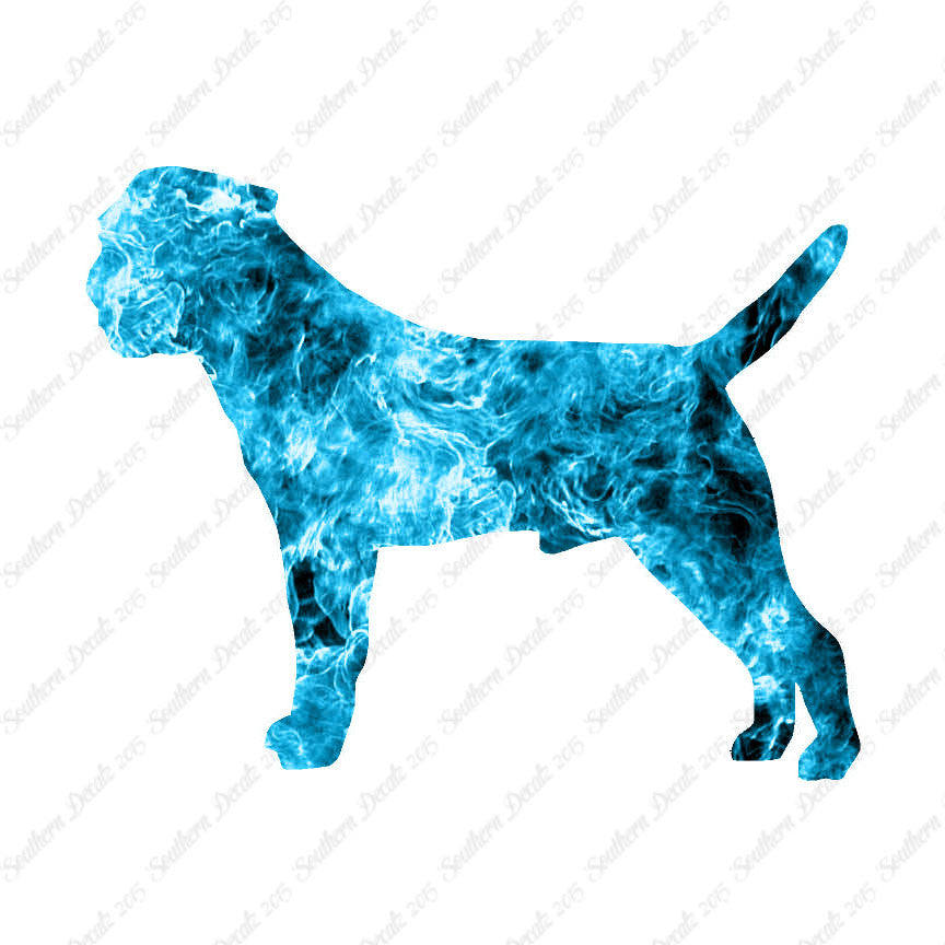 Border Terrier Dog Breed