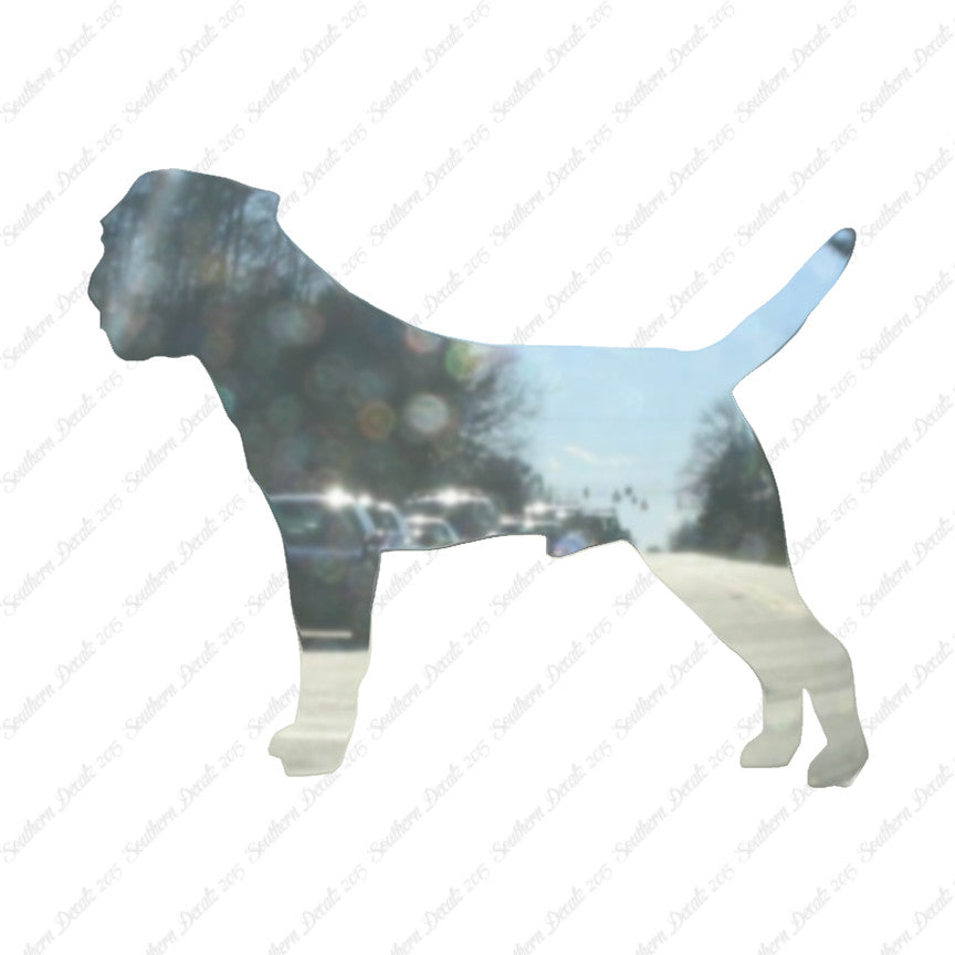 Border Terrier Dog Breed