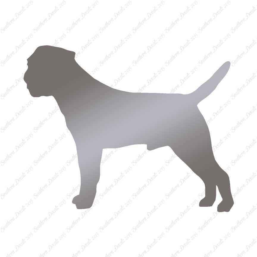 Border Terrier Dog Breed