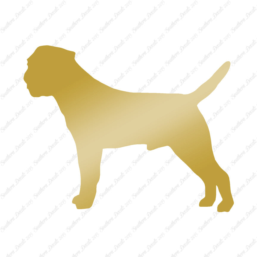 Border Terrier Dog Breed