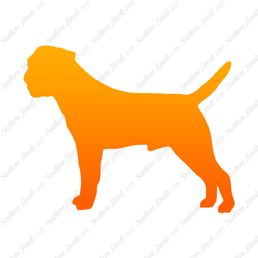 Border Terrier Dog Breed