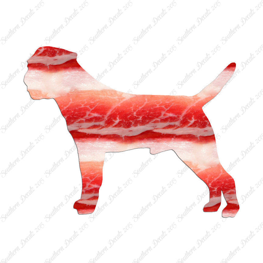 Border Terrier Dog Breed