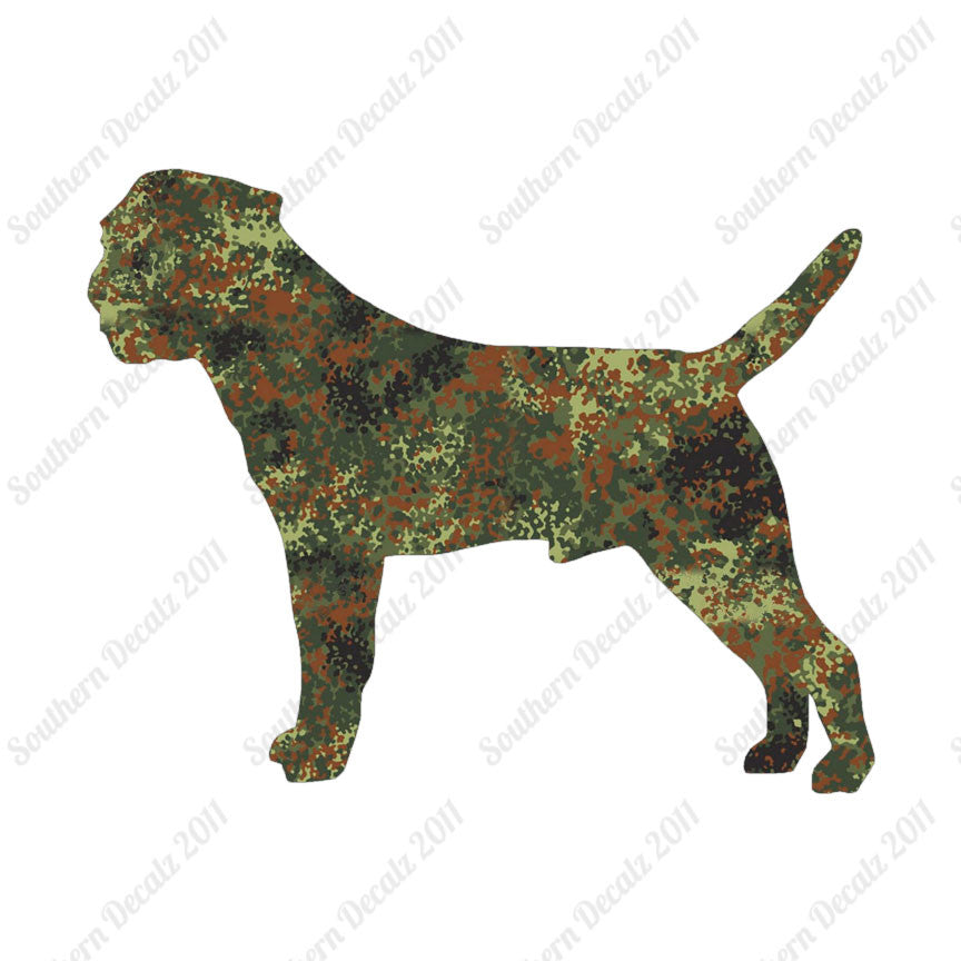 Border Terrier Dog Breed