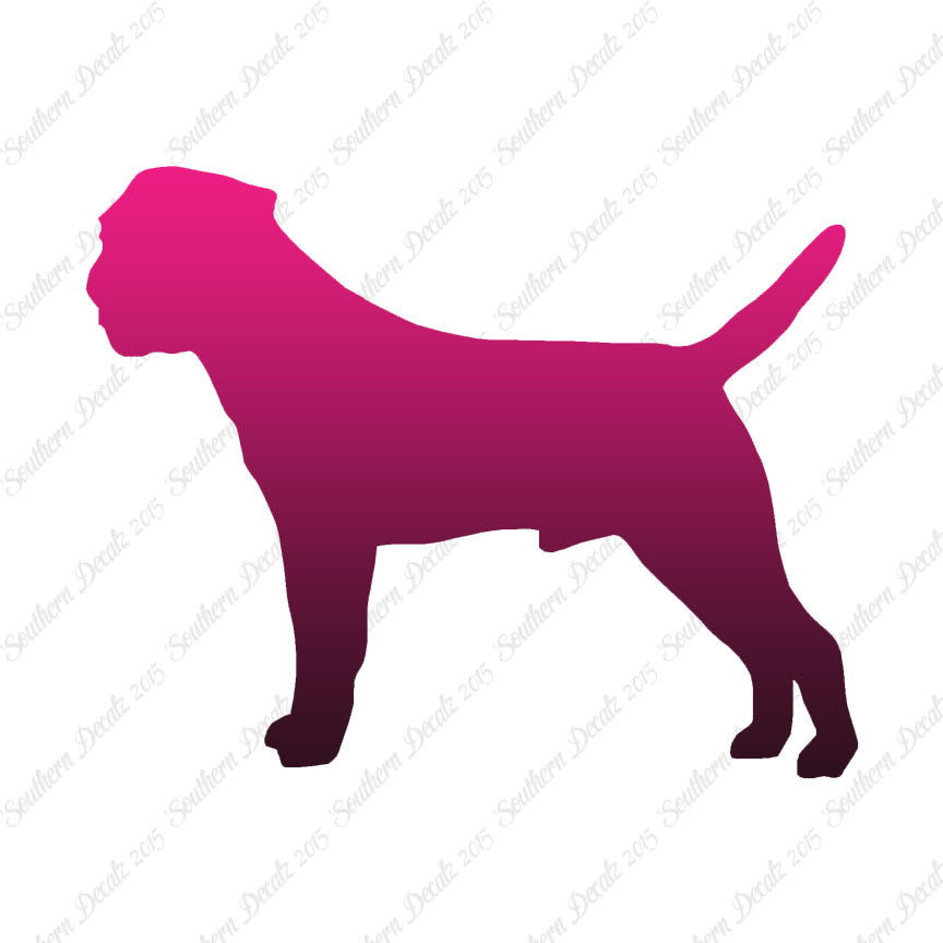 Border Terrier Dog Breed