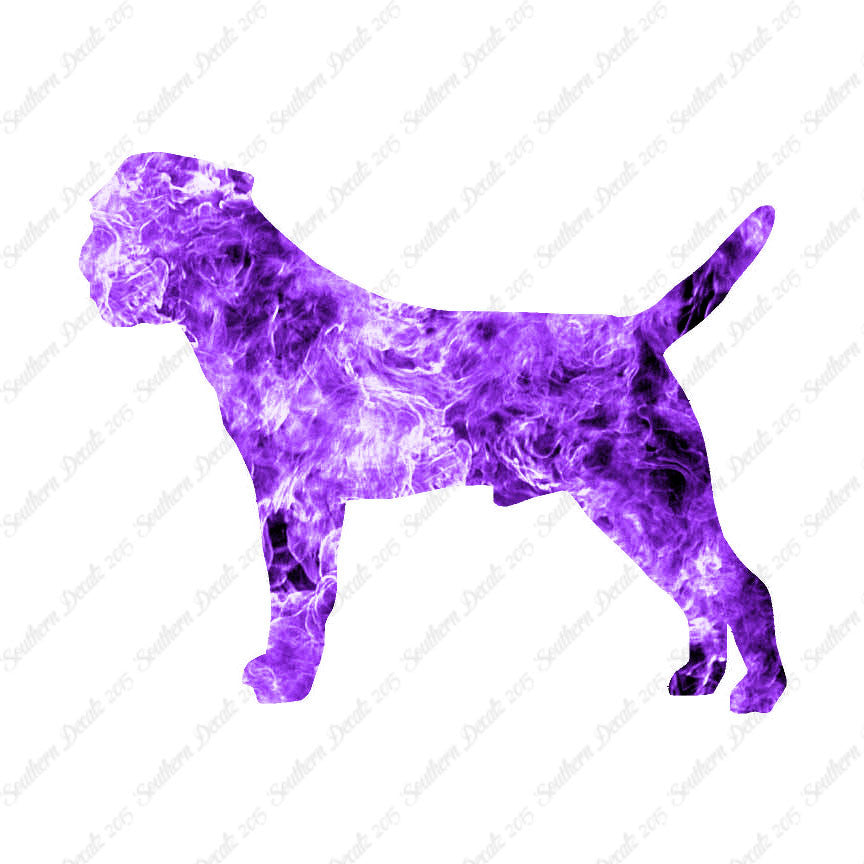 Border Terrier Dog Breed