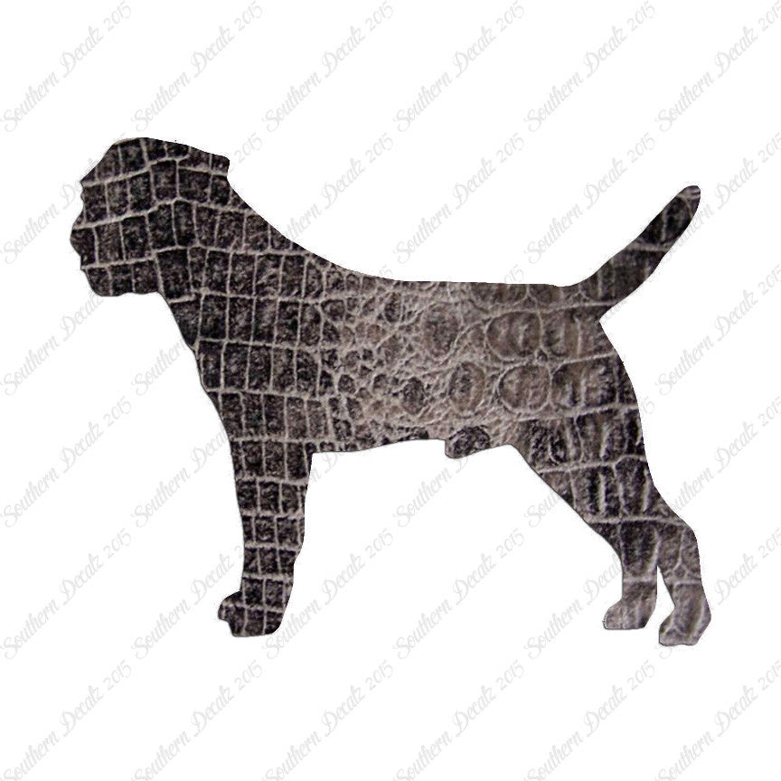 Border Terrier Dog Breed