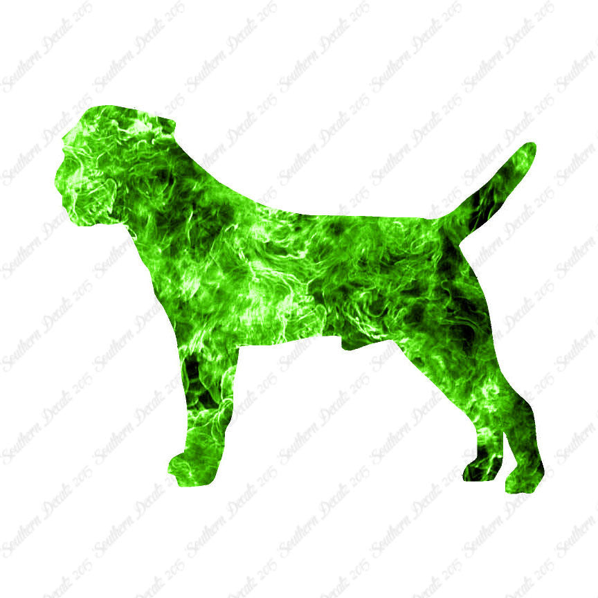 Border Terrier Dog Breed