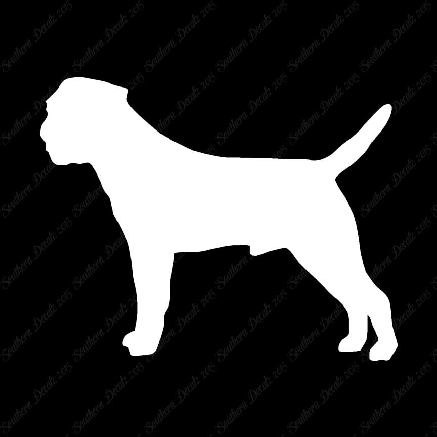 Border Terrier Dog Breed