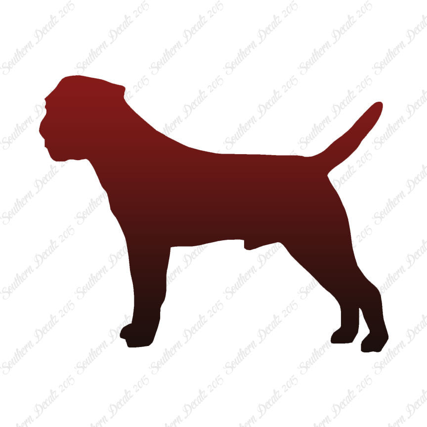 Border Terrier Dog Breed