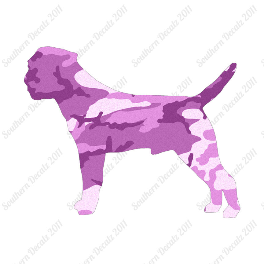 Border Terrier Dog Breed