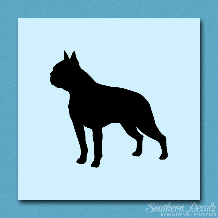 Boston Terrier Dog Breed