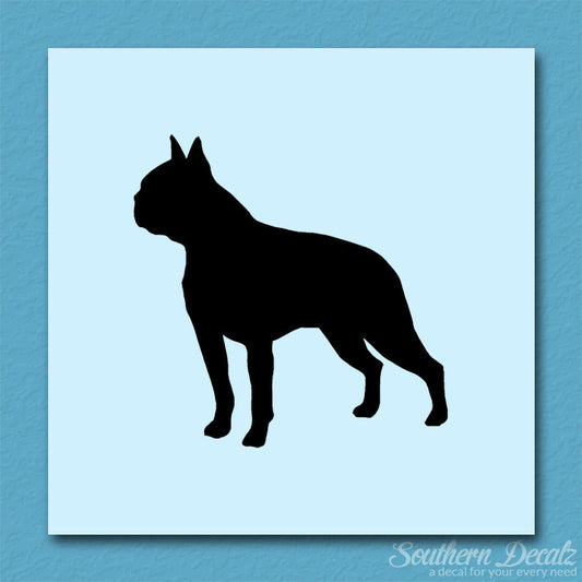 Boston Terrier Dog Breed