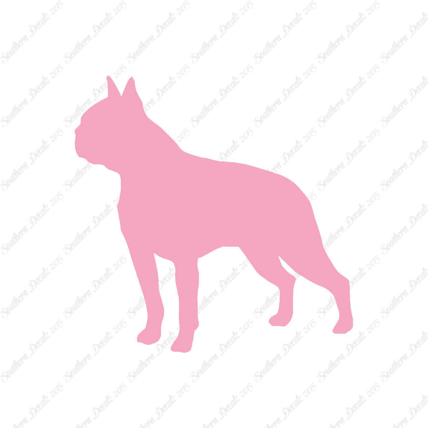 Boston Terrier Dog Breed