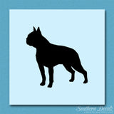 Boston Terrier Dog Breed