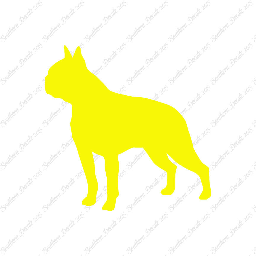 Boston Terrier Dog Breed