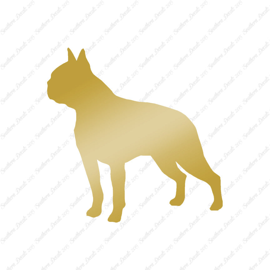 Boston Terrier Dog Breed