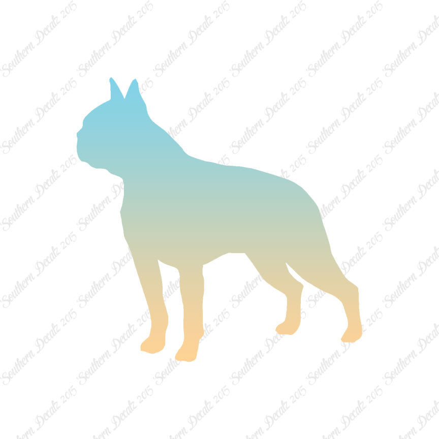 Boston Terrier Dog Breed