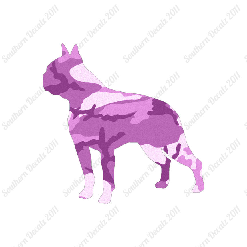 Boston Terrier Dog Breed