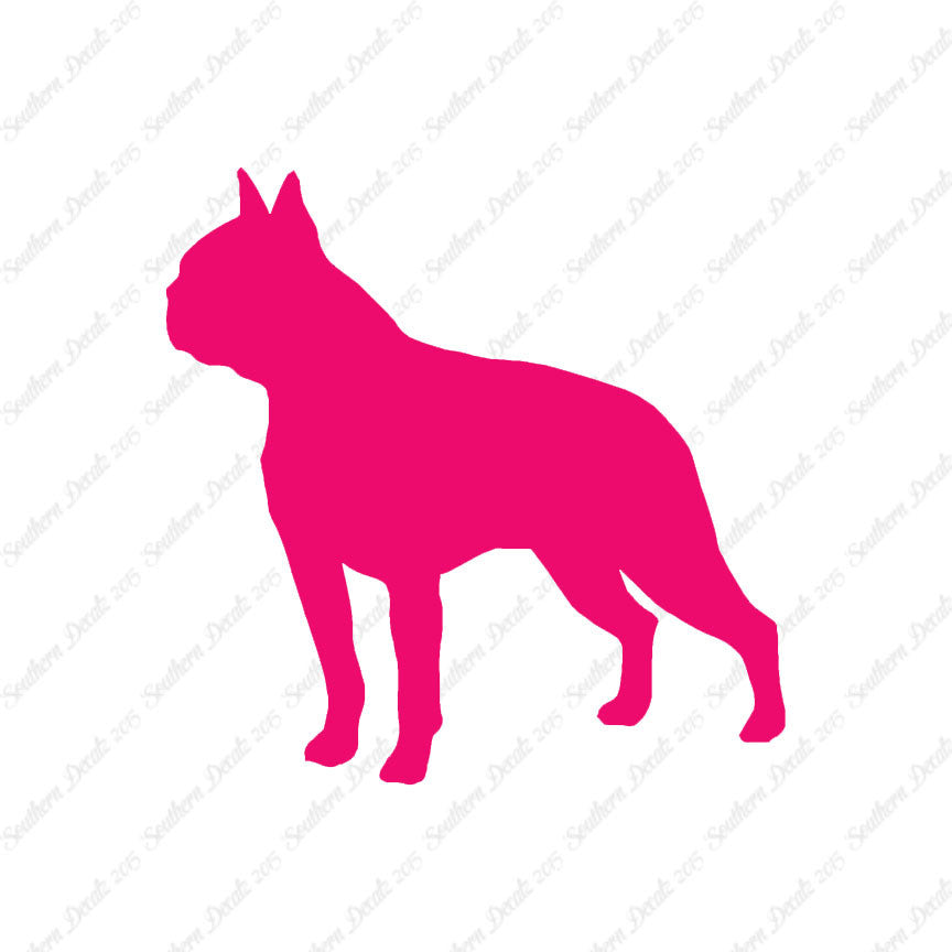 Boston Terrier Dog Breed