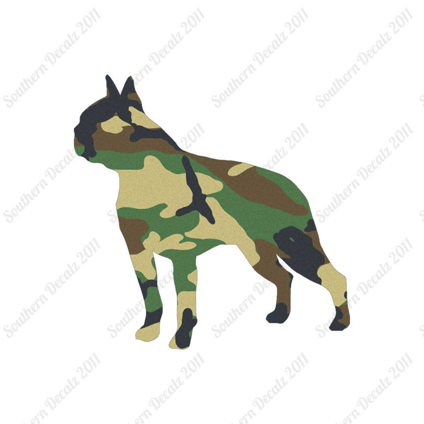 Boston Terrier Dog Breed