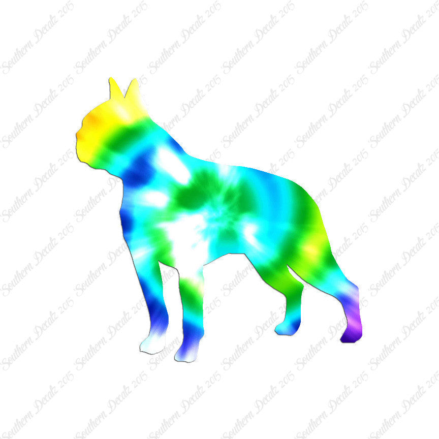 Boston Terrier Dog Breed
