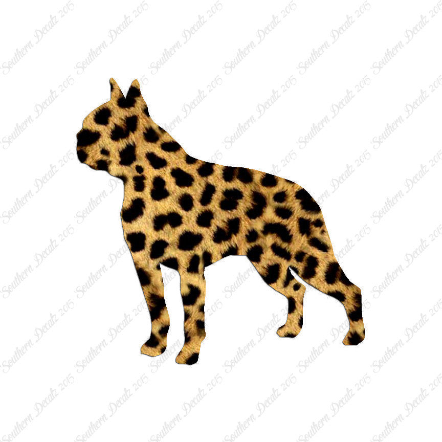 Boston Terrier Dog Breed