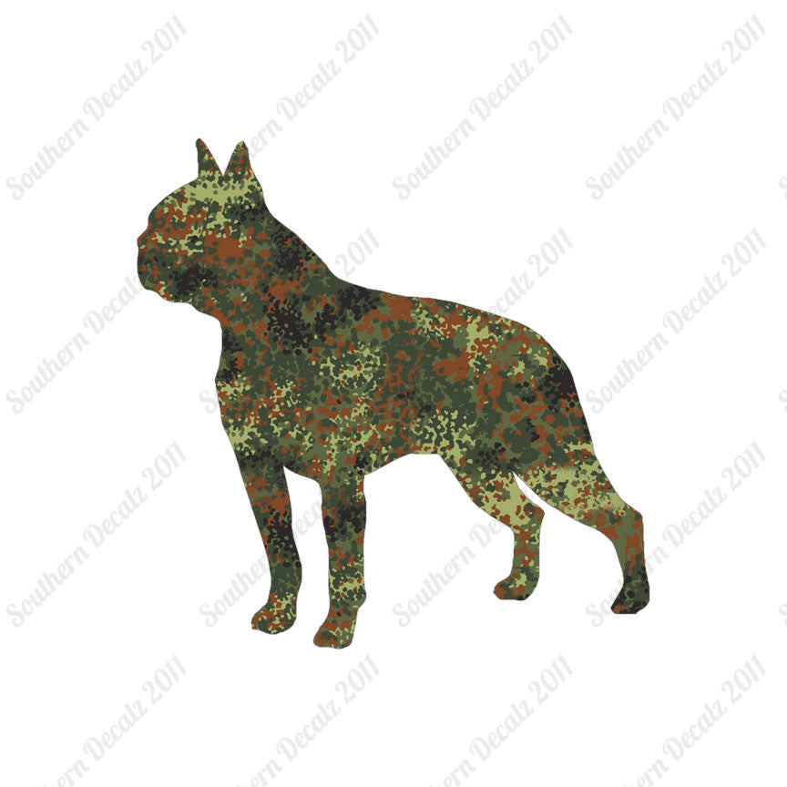 Boston Terrier Dog Breed
