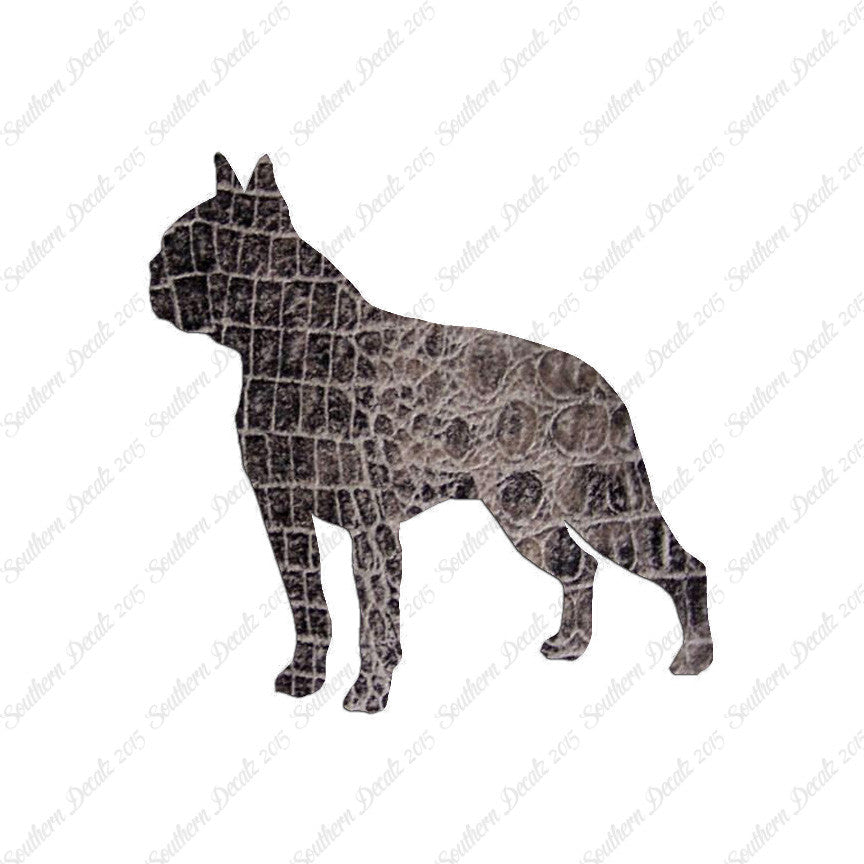 Boston Terrier Dog Breed