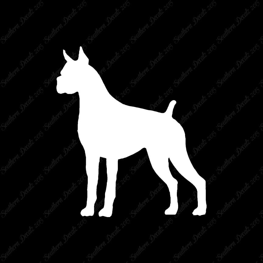 Boxer Dog Breed