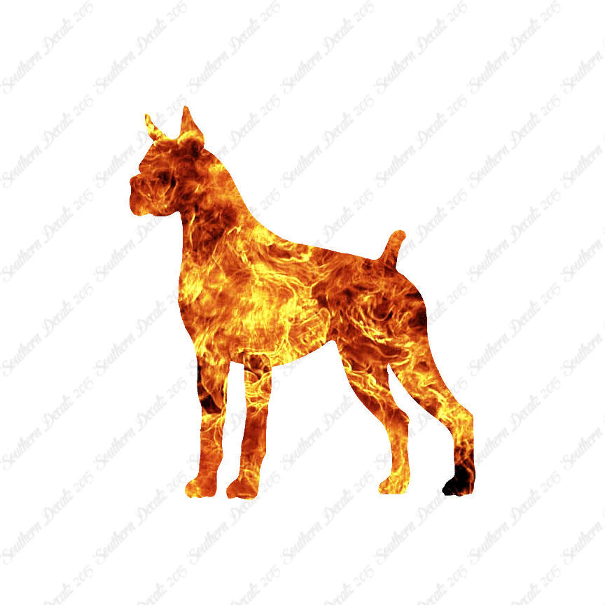 Boxer Dog Breed