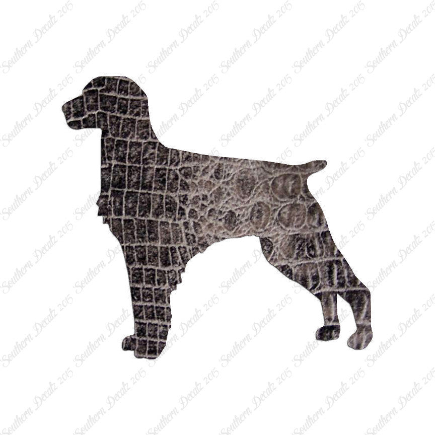 Brittany Dog Breed