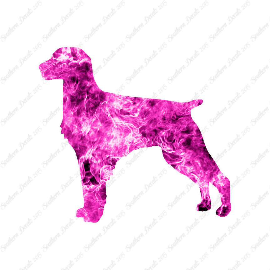 Brittany Dog Breed