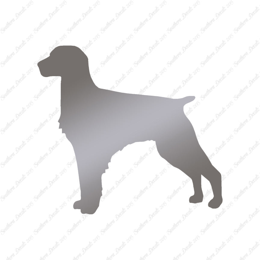 Brittany Dog Breed
