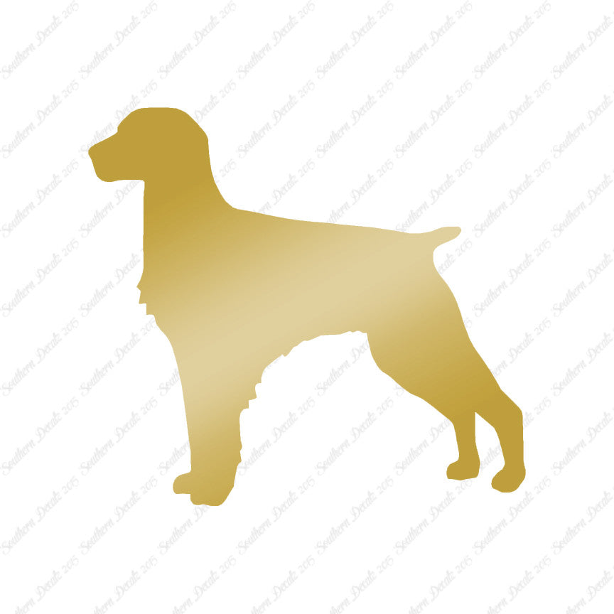 Brittany Dog Breed