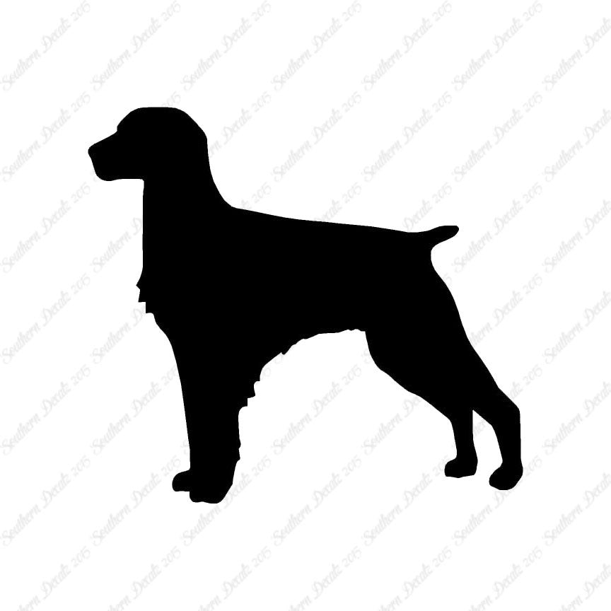 Brittany Dog Breed