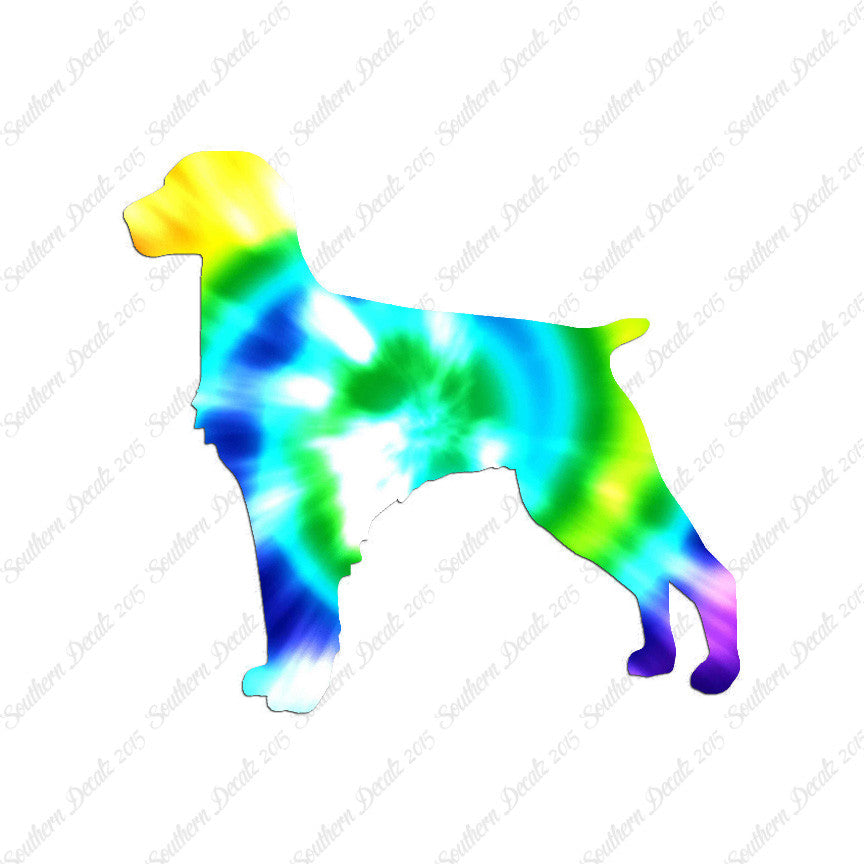 Brittany Dog Breed