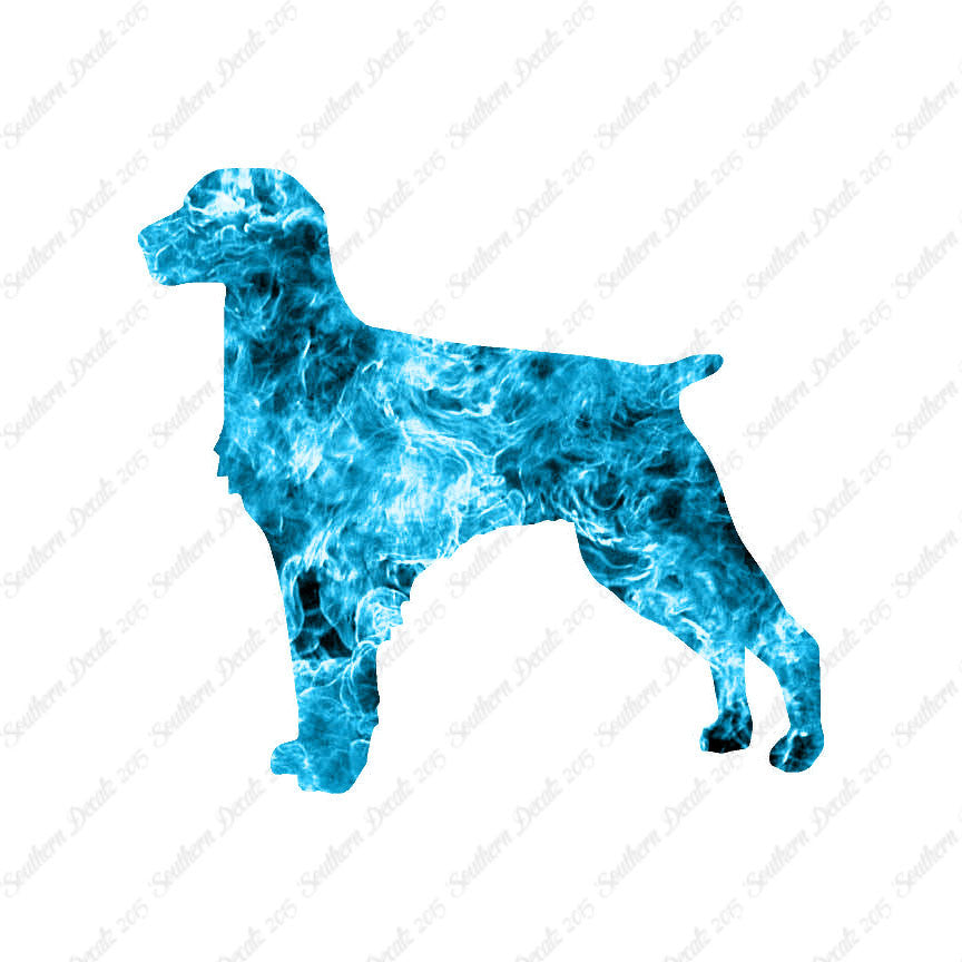 Brittany Dog Breed