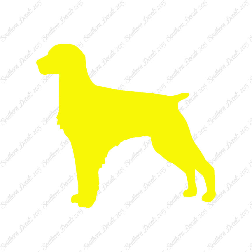 Brittany Dog Breed