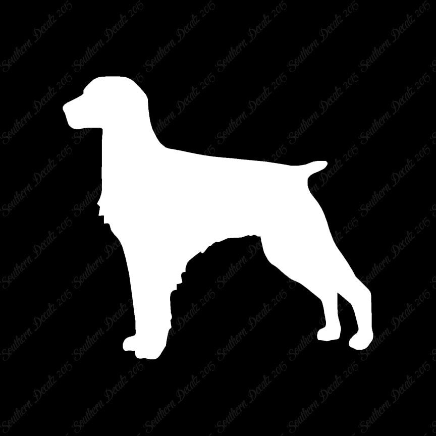 Brittany Dog Breed