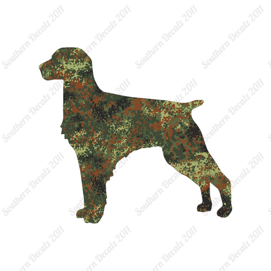 Brittany Dog Breed