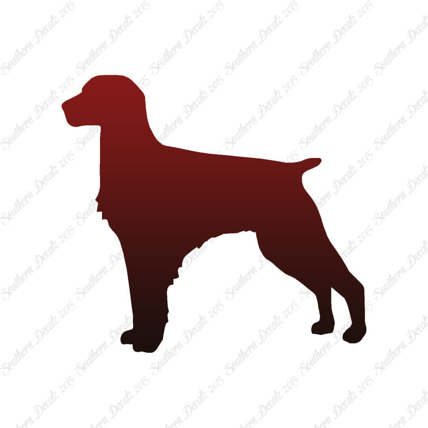 Brittany Dog Breed