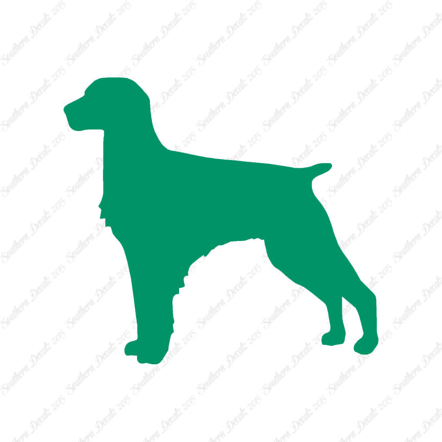 Brittany Dog Breed