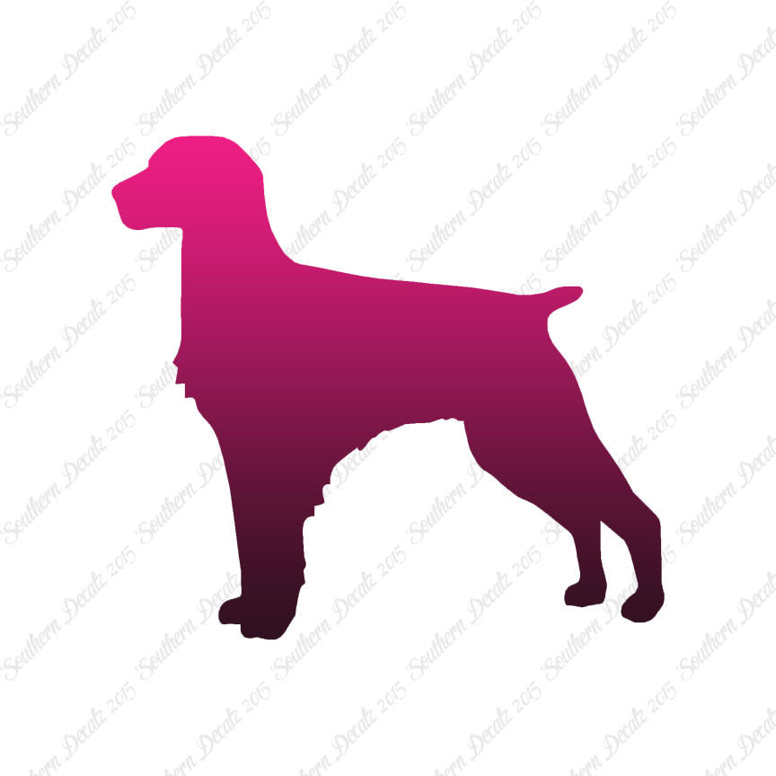 Brittany Dog Breed