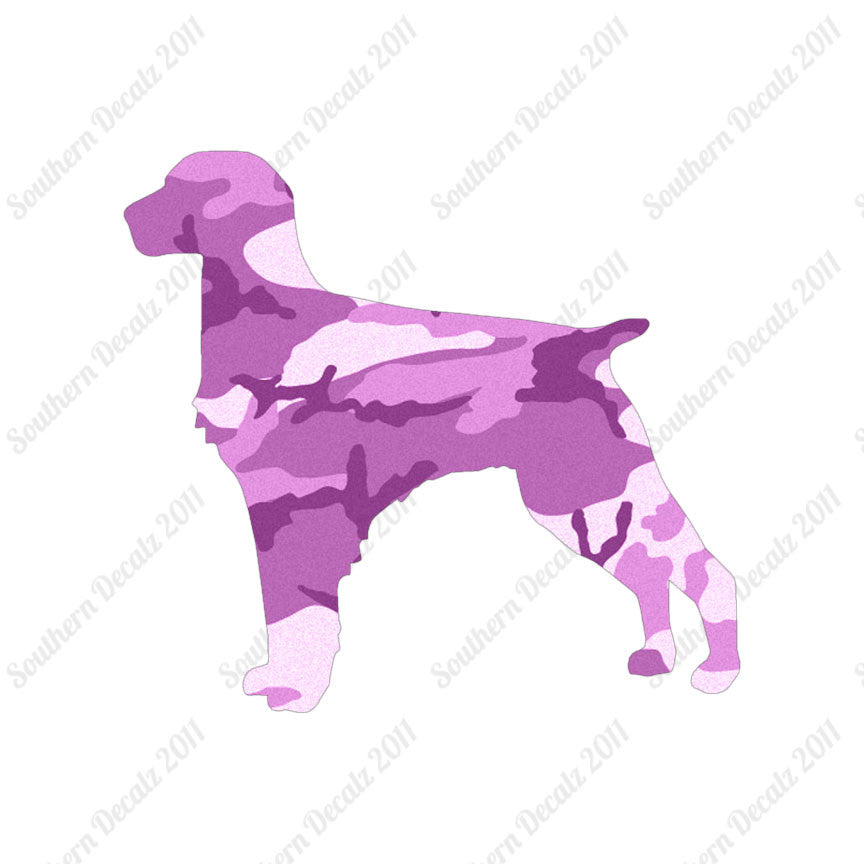 Brittany Dog Breed