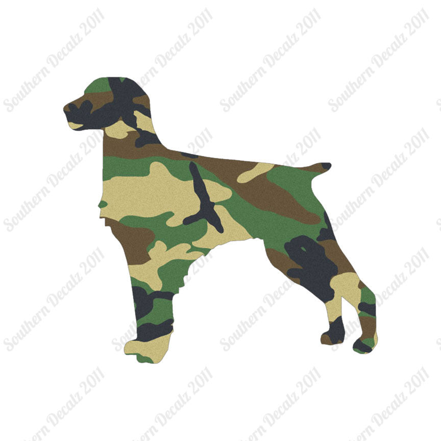 Brittany Dog Breed